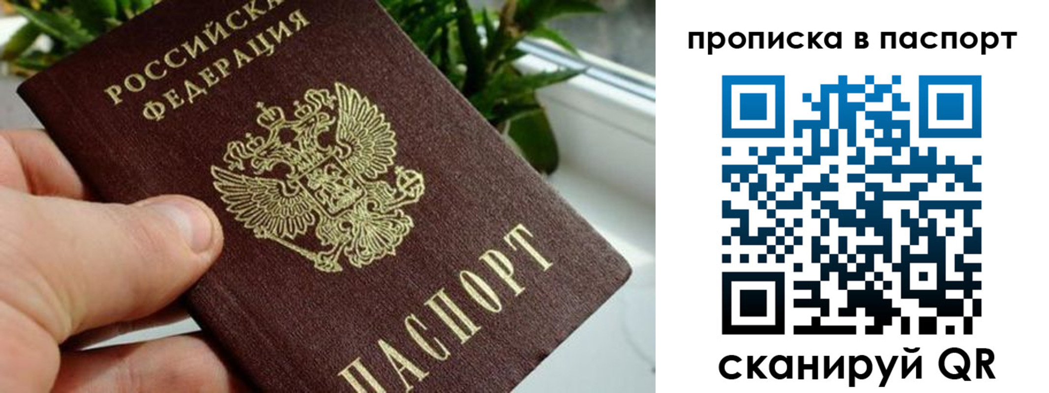 временная регистрация поиск в Каргате